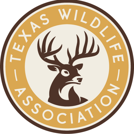 Texas Big Game Awards Celebration - August 21 Austin - logo